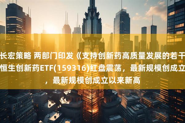 长宏策略 两部门印发《支持创新药高质量发展的若干措施》，恒生创新药ETF(159316)红盘震荡，最新规模创成立以来新高