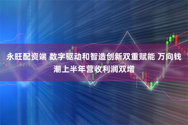 永旺配资端 数字驱动和智造创新双重赋能 万向钱潮上半年营收利润双增