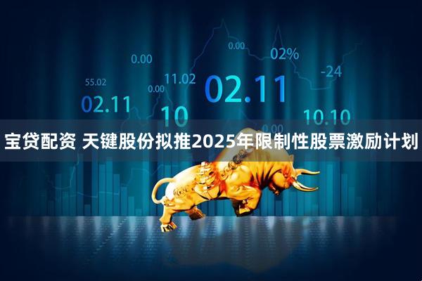 宝贷配资 天键股份拟推2025年限制性股票激励计划